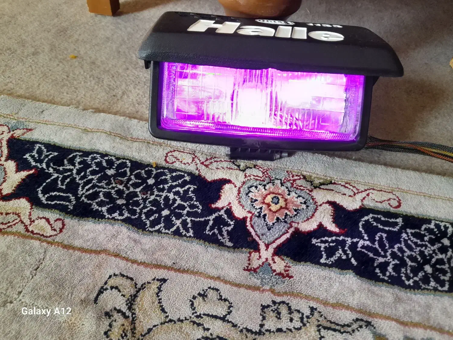 چراغ هلا|لامپ و چراغ|مشهد, دانش|دیوار