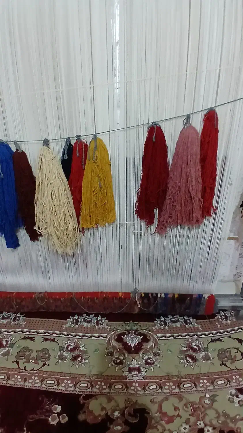 فروشی|فرش|سرعین, |دیوار