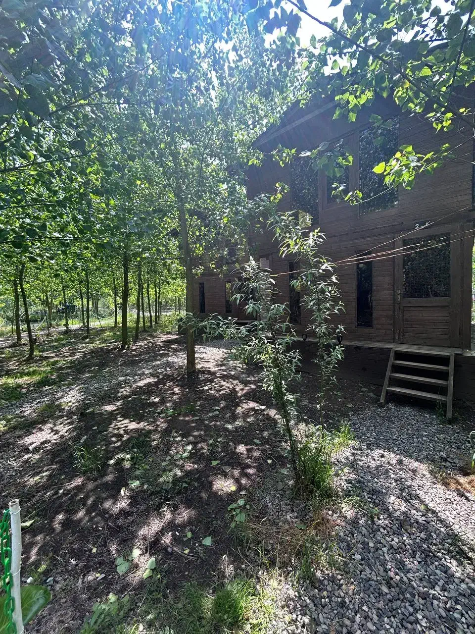 باران. جنگل و طبیعت و حس زیبا|فروش خانه و ویلا|نسیمشهر, |دیوار