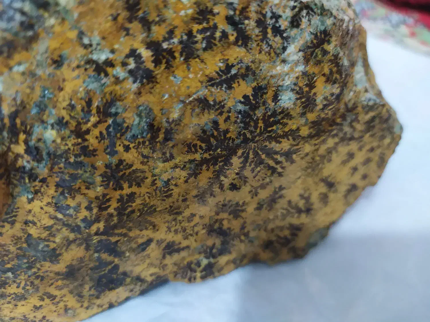 سنگ شجرطلایی|زیورآلات و اکسسوری|نیشابور, شهرک اندیشه|دیوار