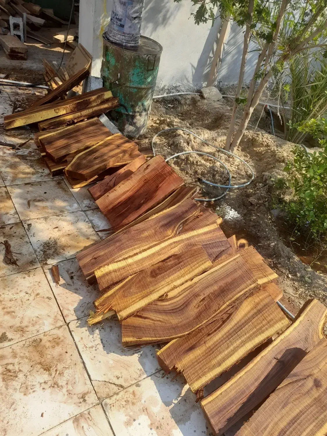 چوب|خدمات باغبانی و درختکاری|کاکی, |دیوار