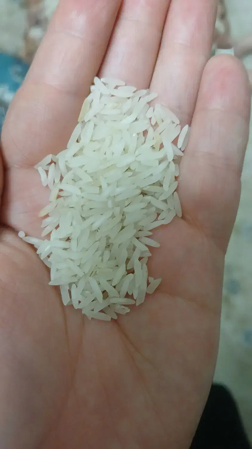 برنج هاشمی|خوردنی و آشامیدنی|قم, شهرک فاطمیه|دیوار