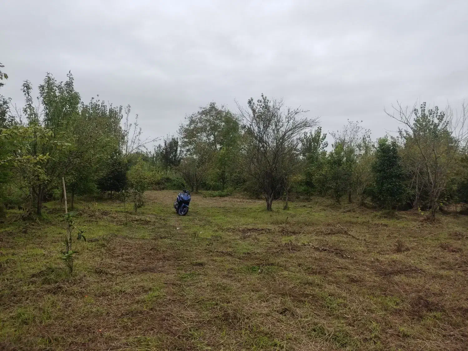 فروش ۲۲۵متر زمین باغی شمال یا معاوضه با خودرو|فروش زمین و ملک کلنگی|تهران, کامرانیه|دیوار