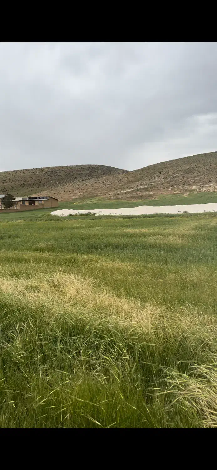 زمین صنعتی|فروش دفتر صنعتی، کشاورزی، تجاری|اسلام‌‌آباد غرب, |دیوار