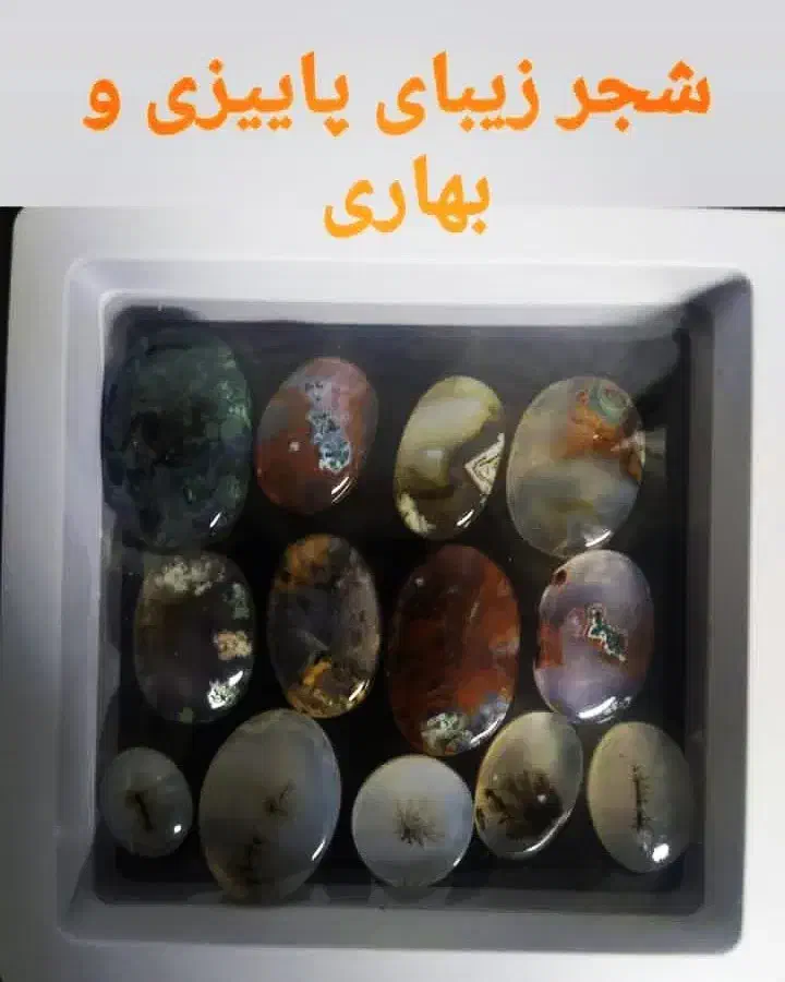 بارخونه نگین انگشتر کلی|جواهرات|گنبد کاووس, |دیوار