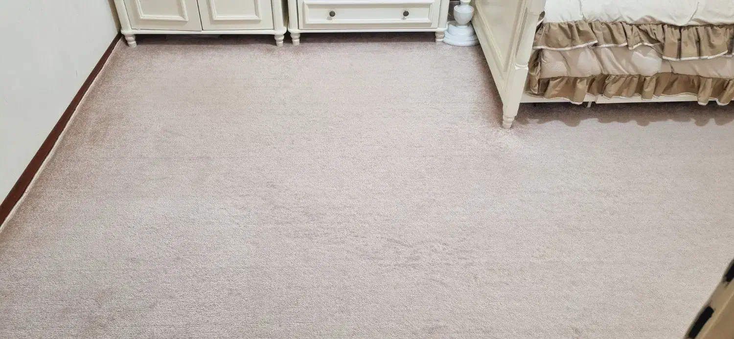 پالاز موکت|موکت|بروجرد, |دیوار