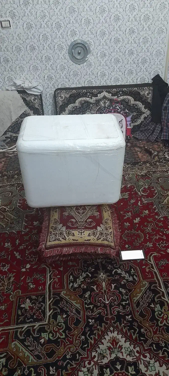 یونولیتیخچالی|ظروف نگهدارنده، پلاستیکی، یک‌بارمصرف|تبریز, |دیوار