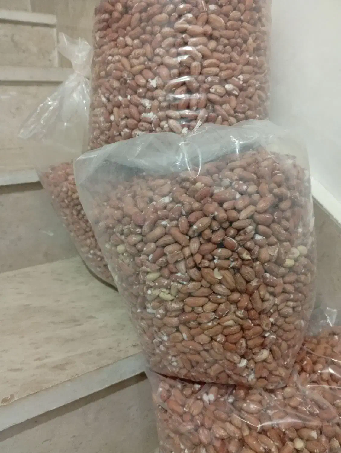 بادام زمینی برشته|خوردنی و آشامیدنی|پارس‌آباد, |دیوار