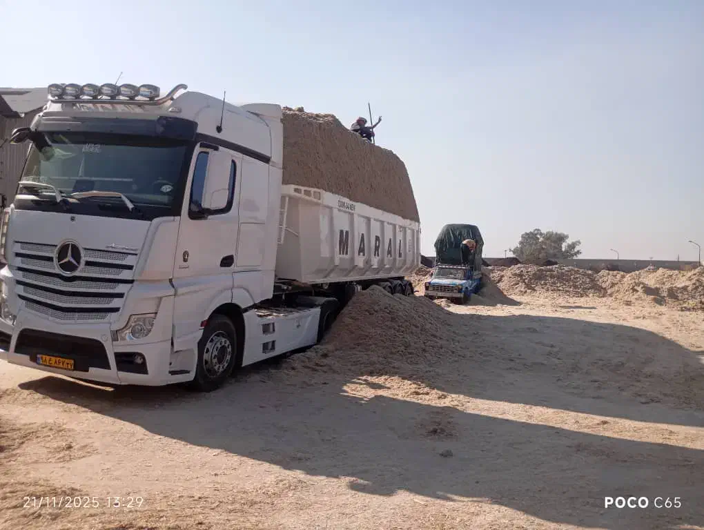 باگاس نیشکر|حیوانات مزرعه|کیش, |دیوار