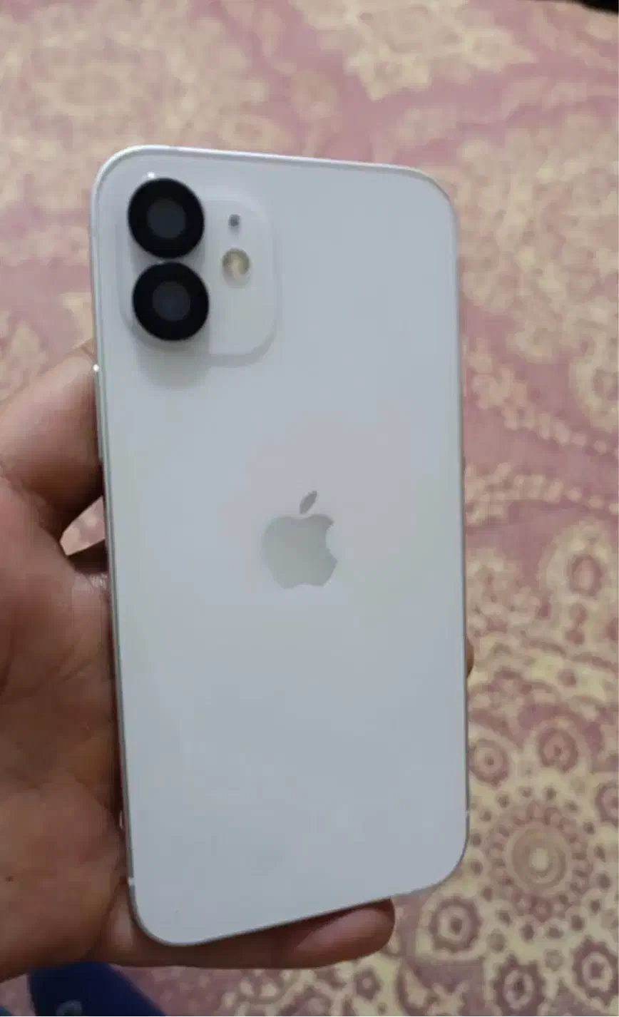 iphone 12 normal|موبایل|قم, بنیاد|دیوار