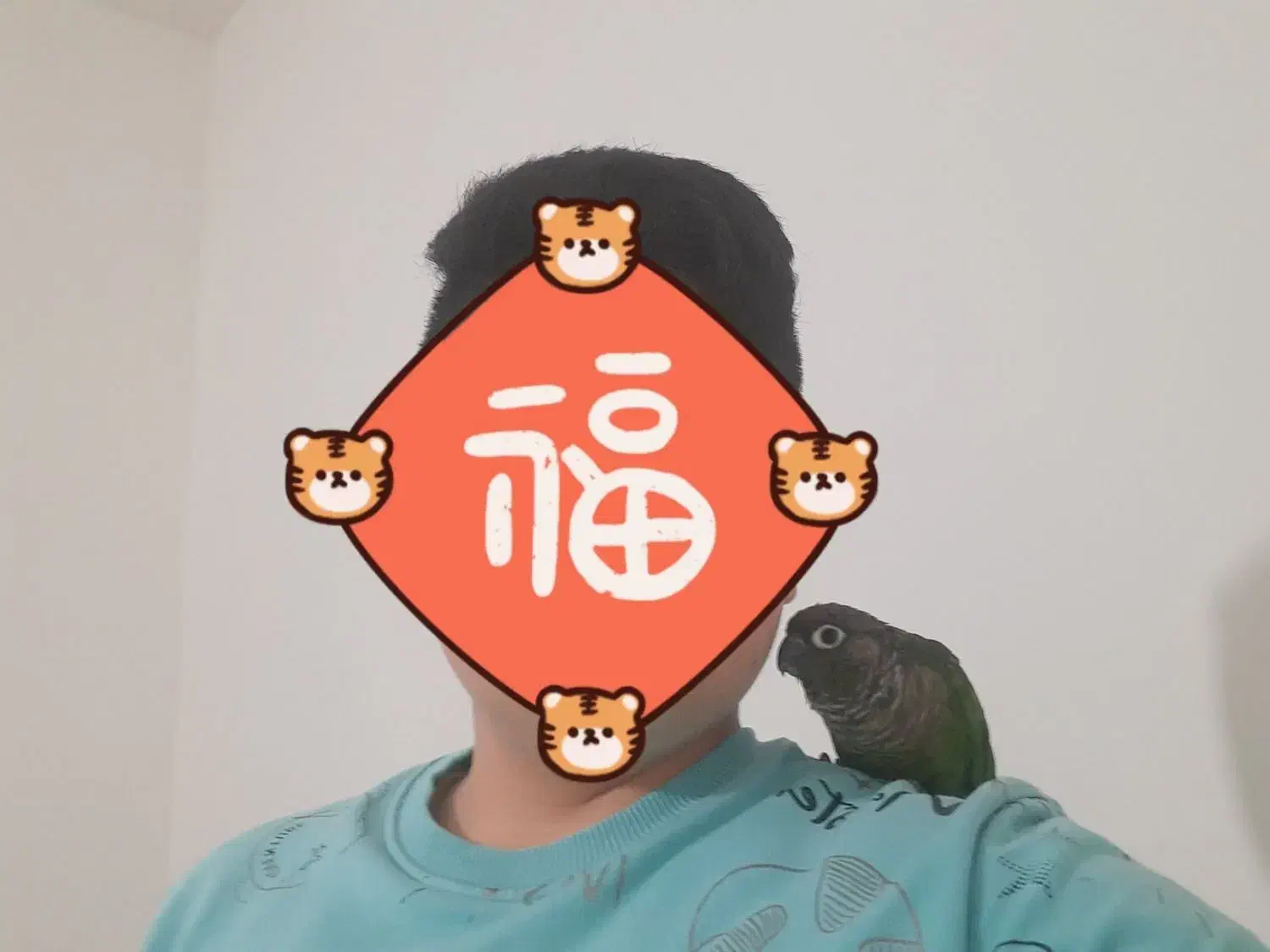 معاوضه طوطی گرینچیک نر سخنگو با خروس لاری|پرنده|کوهدشت, |دیوار