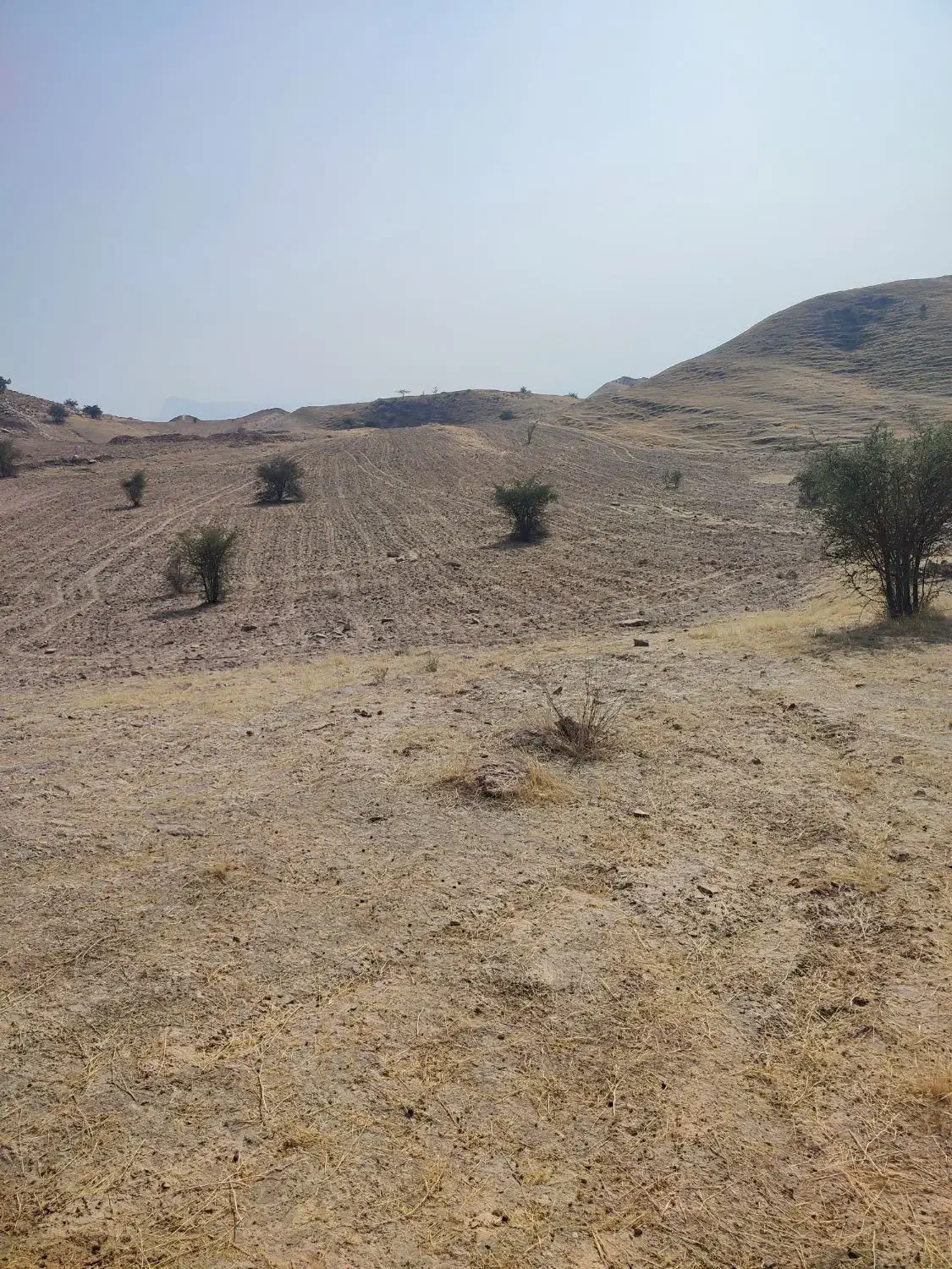 زمین کشاورزی|فروش دفتر صنعتی، کشاورزی، تجاری|خشت, |دیوار