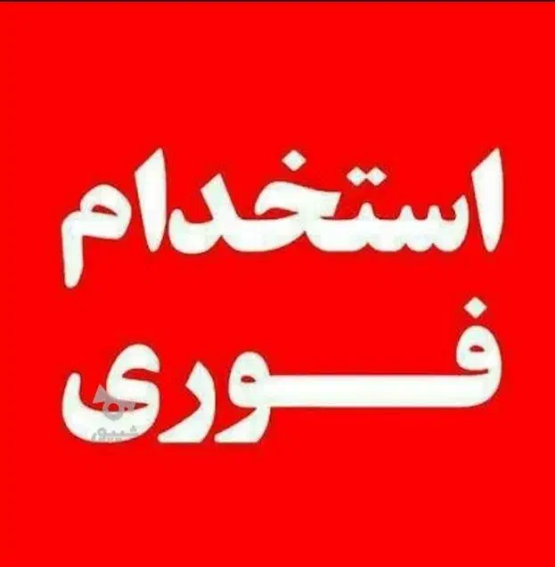 نمایندگی دفتر فروش|استخدام بازاریابی و فروش|قیدار, |دیوار