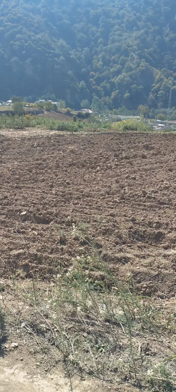 فروش زمین در روستای سوسرا|فروش زمین و ملک کلنگی|نوده خاندوز, |دیوار