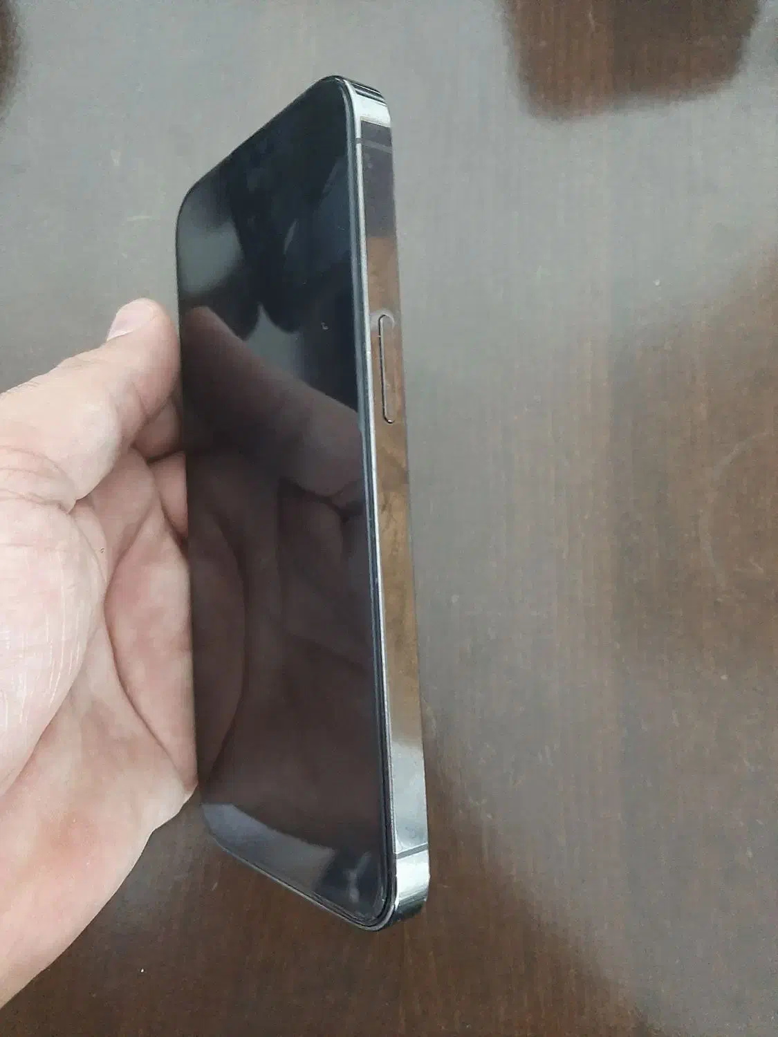 ایفون ۱۳ پرو|موبایل|اصفهان, باغ دریاچه|دیوار