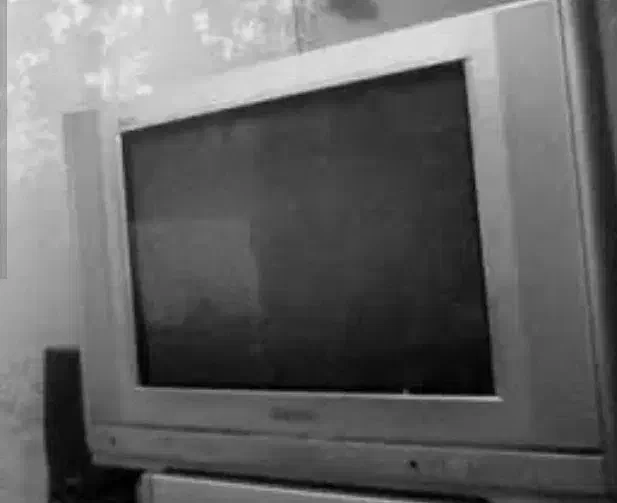 تلویزیون ۲۱ اینچ اسنوا|تلویزیون و پروژکتور|ساری, |دیوار