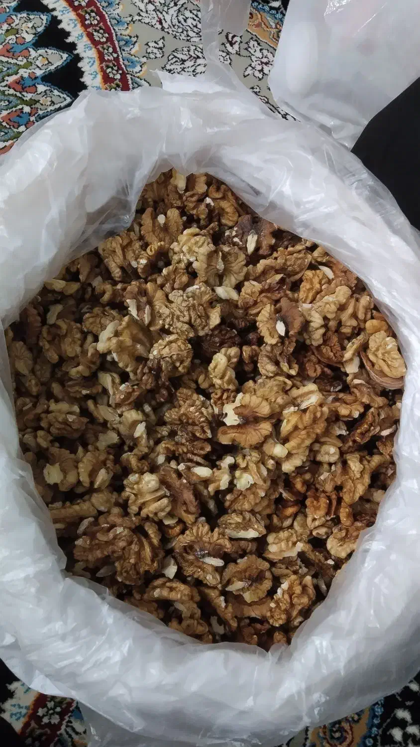 مغز گردو|خوردنی و آشامیدنی|گلبهار, شهر جدید گلبهار|دیوار