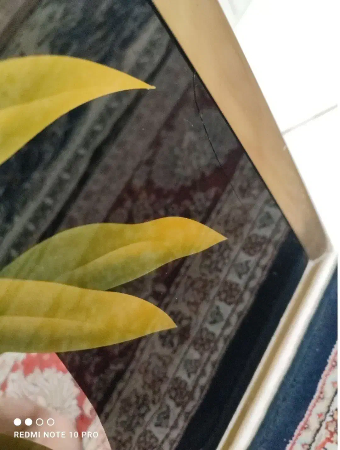 آینه|آینه|تهران, وحیدیه|دیوار