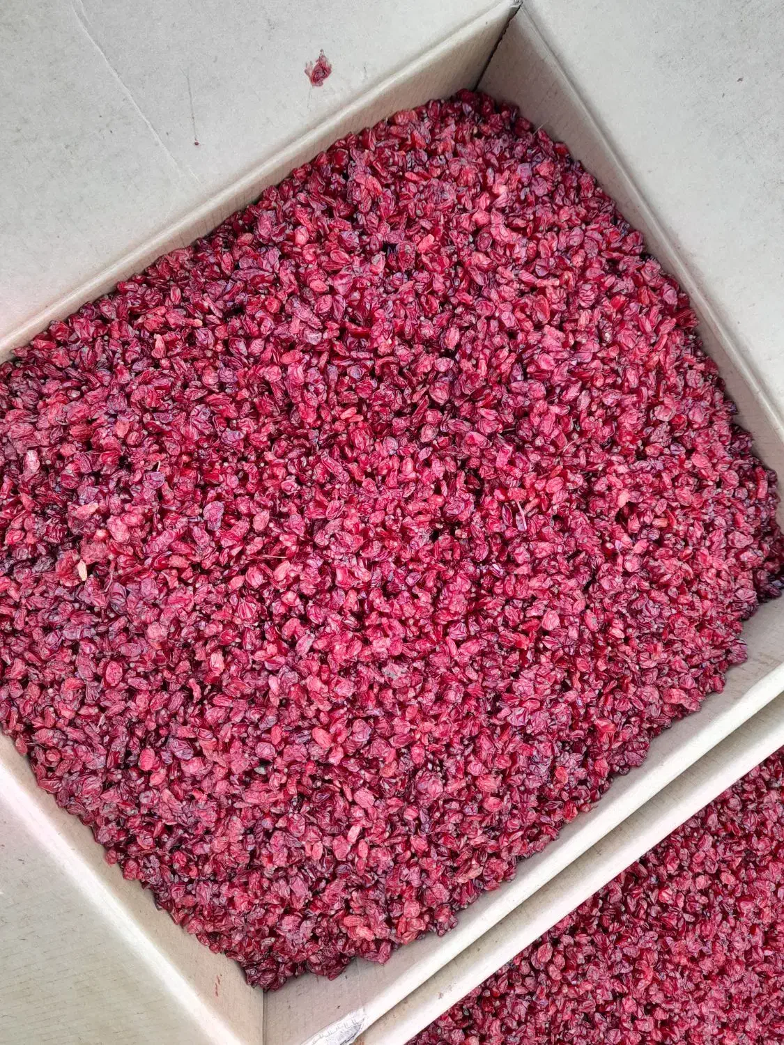 زرشک اصل قائنات|خوردنی و آشامیدنی|کوهی‌خیل, |دیوار