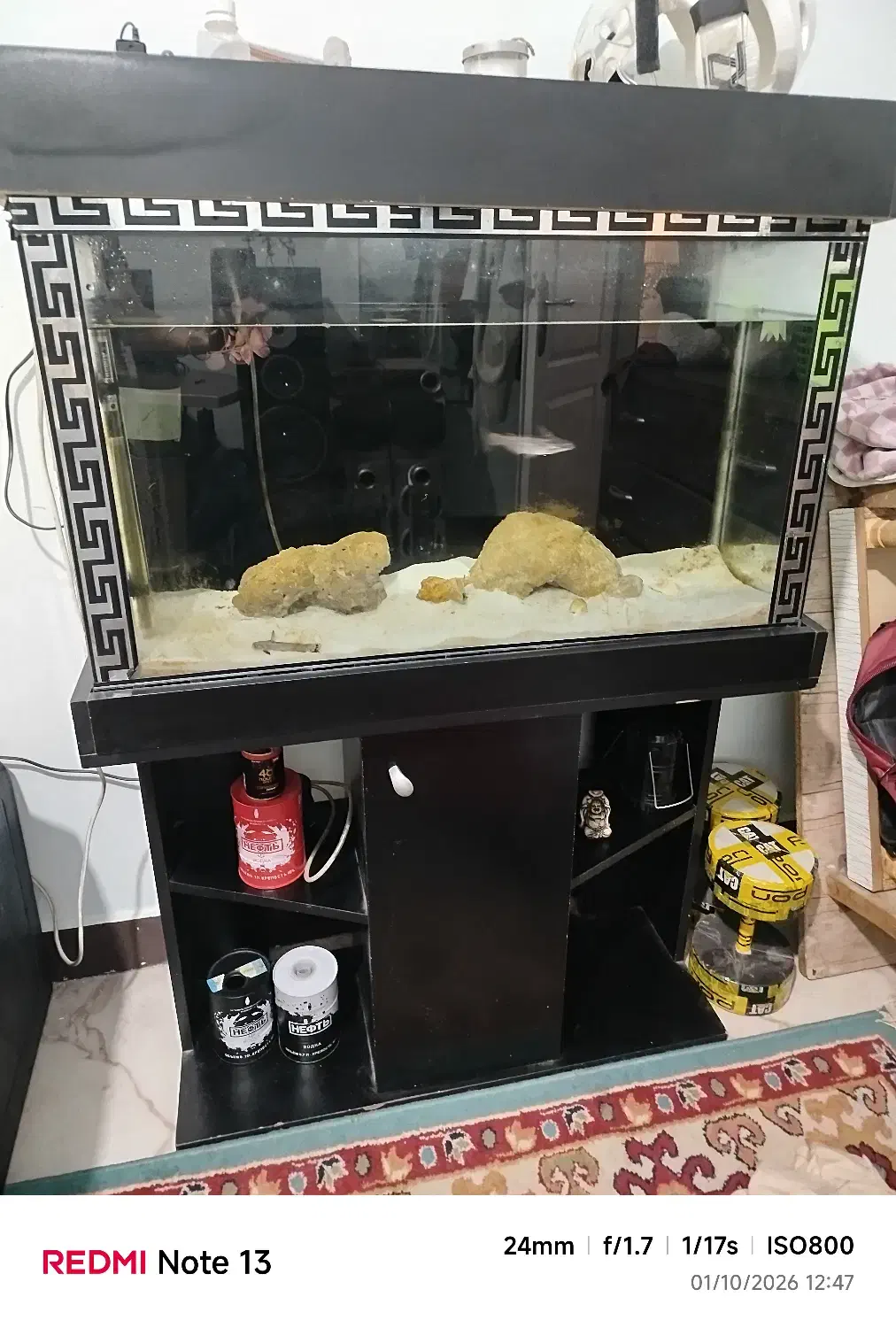 اکواریوم|ماهی|فردیس, شهرک ناز|دیوار