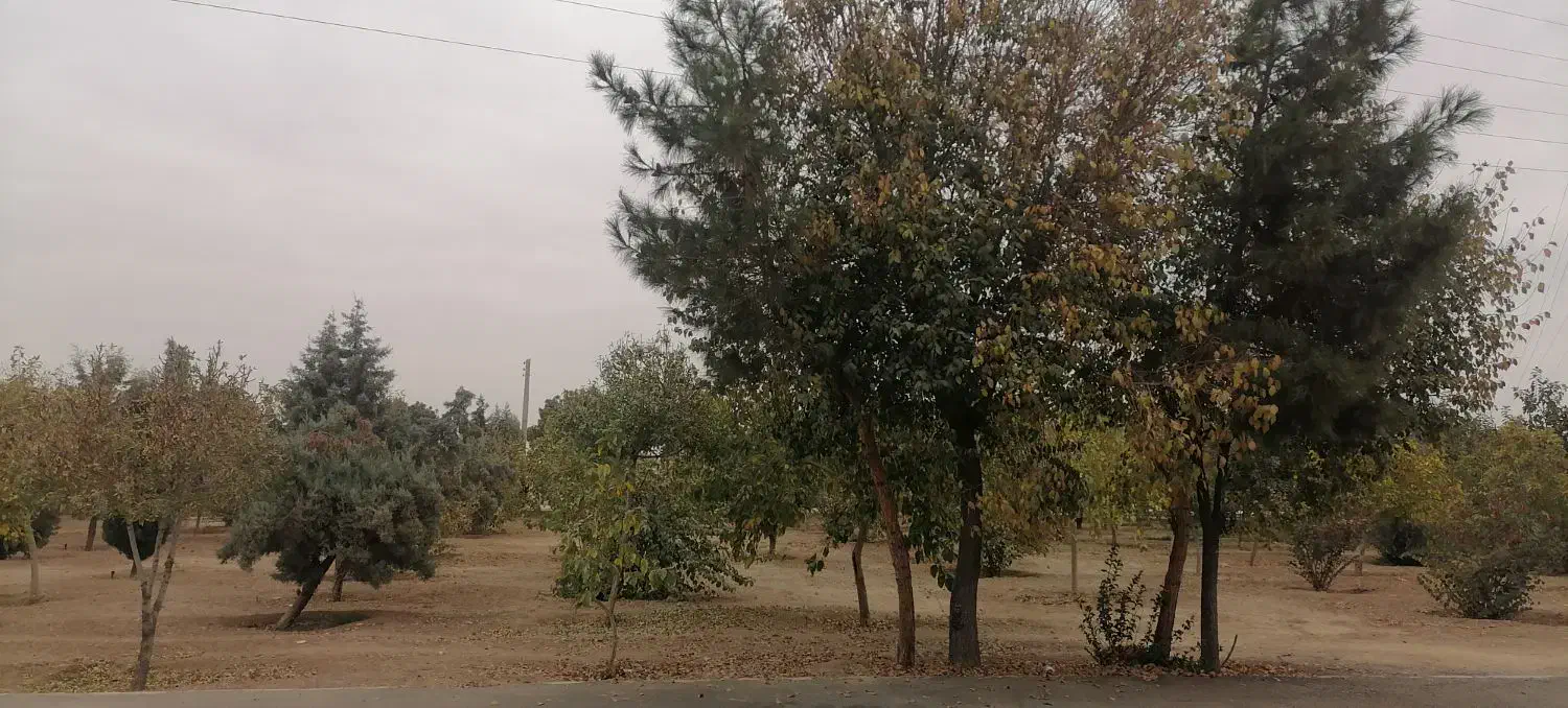 فروش ویلایی 253 متری بنیادازدواج 5/800/000/000|فروش خانه و ویلا|شاهینشهر, بنیاد ازدواج|دیوار