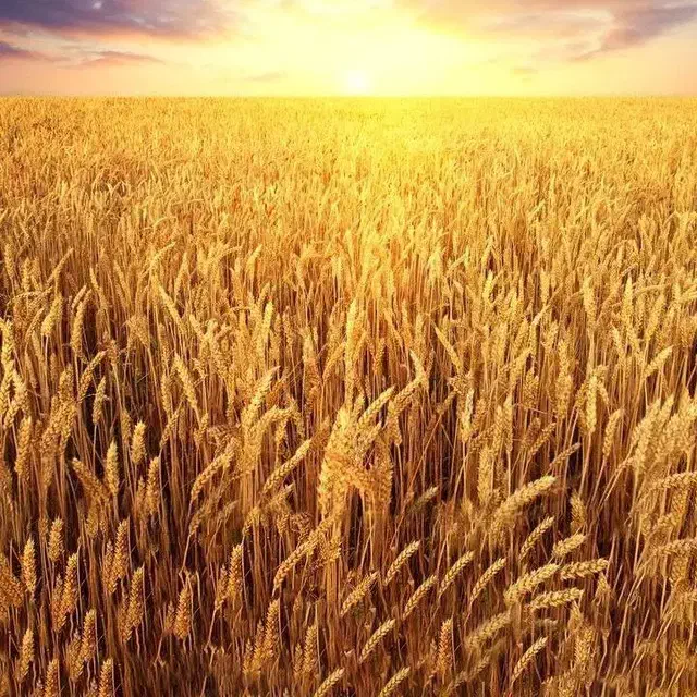 مشورت|فعالیت داوطلبانه|قم, دورشهر|دیوار