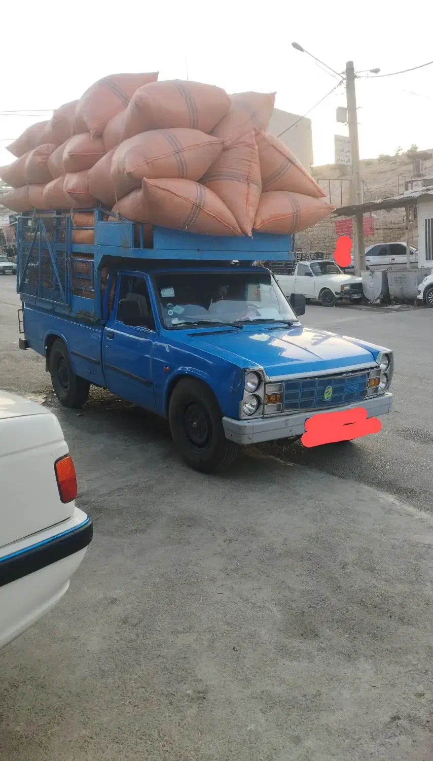 کاه خوشه گندم|لوازم جانبی حیوانات|اندیکا, |دیوار