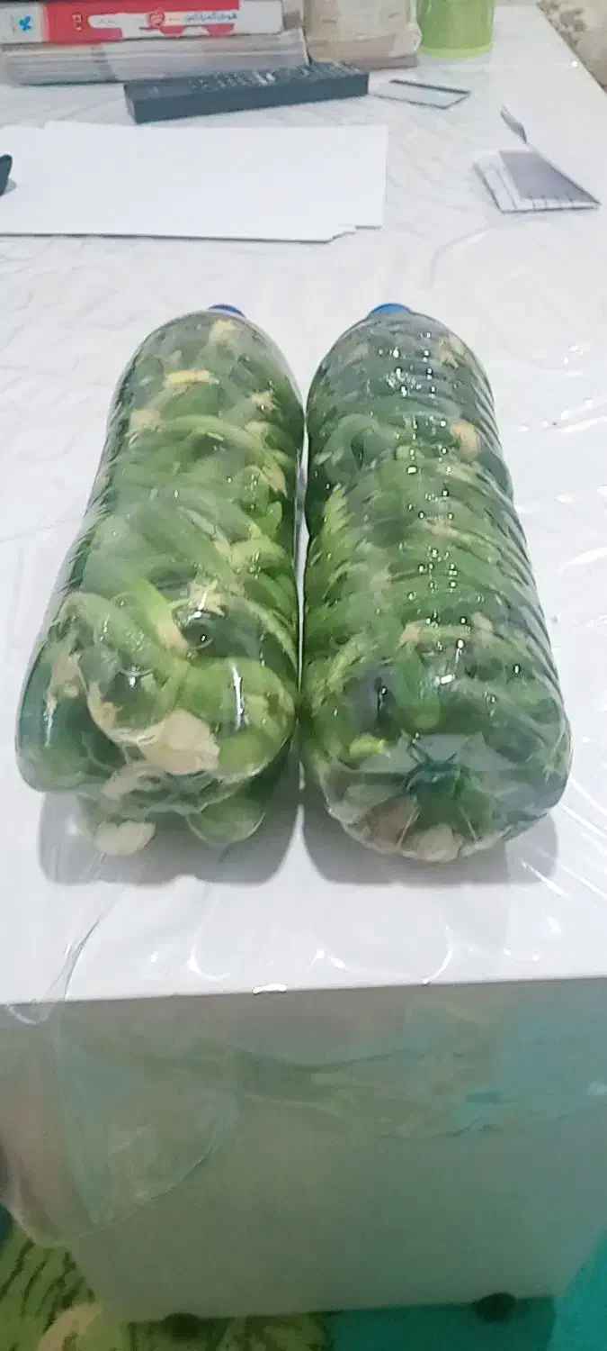 خیارشور|خوردنی و آشامیدنی|سوق, |دیوار