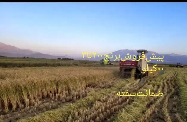 اسباب‌بازی|اسباب‌‌بازی|دورود, |دیوار