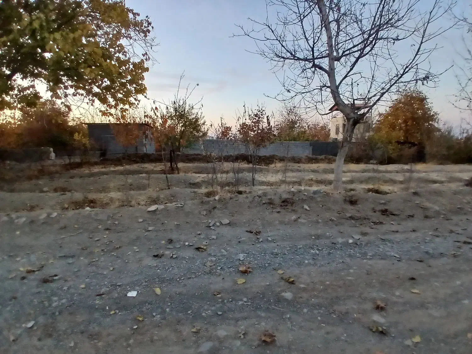 فروش زمین کشاورزی|فروش زمین و ملک کلنگی|گلمکان, |دیوار