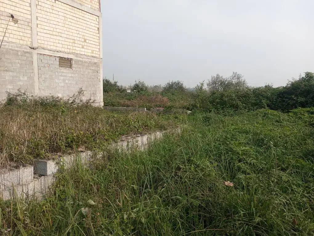 فروش زمین ۷۰ متری|فروش زمین و ملک کلنگی|رشت, کوی فکوری|دیوار