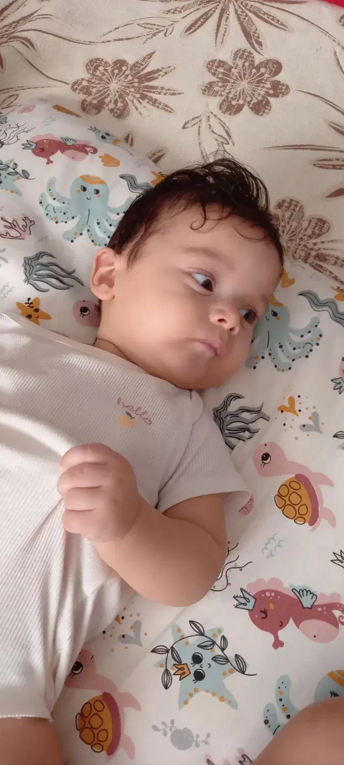 مدارک گم شده نعیم جهانگیری|اشیا|گرگان, |دیوار