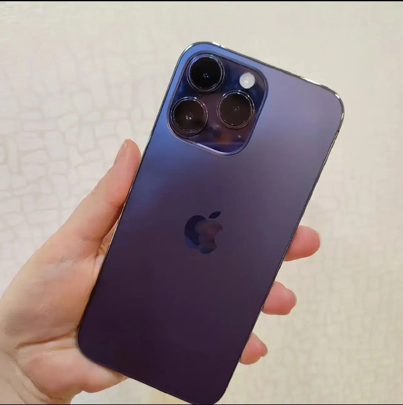 ۱۴پرومکس 256zaa|موبایل|بجنورد, |دیوار