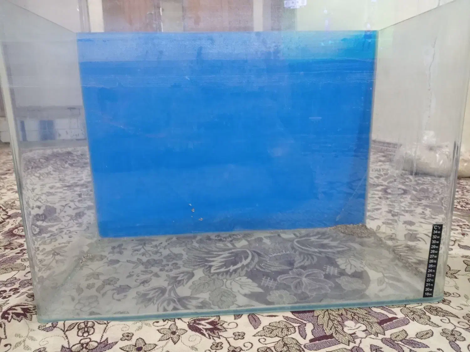 اکواریوم با تمام وسایل|ماهی|خرم‌آباد, |دیوار