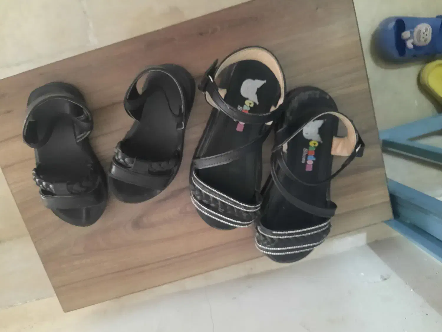 کفش|کیف، کفش، کمربند|پردیس, فاز ۸|دیوار