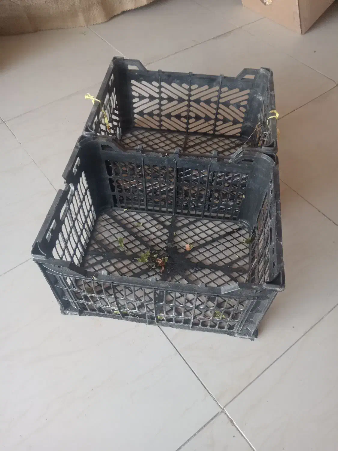 جعبه 15 کیلویی|ظروف نگهدارنده، پلاستیکی، یک‌بارمصرف|شیروان (خراسان), |دیوار