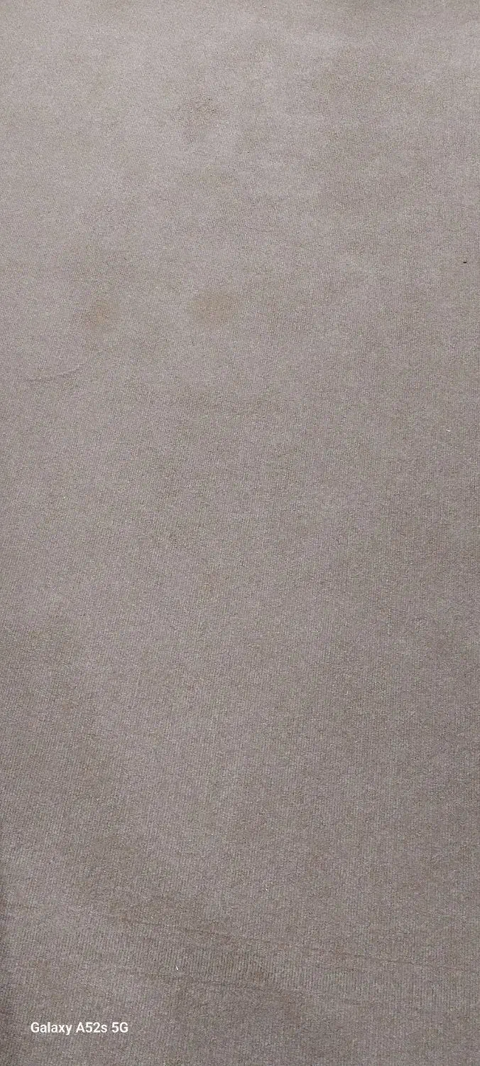 موکت ساده به مساحت 100متر|موکت|اهواز, کوی باهنر|دیوار