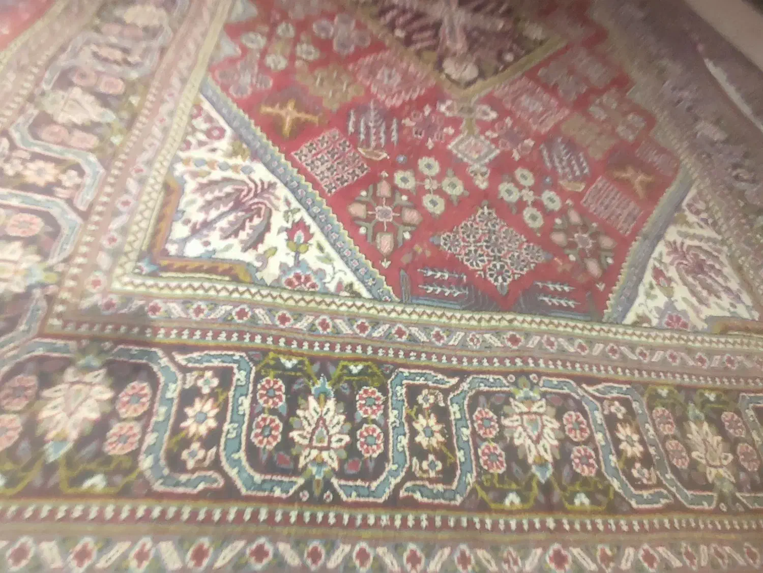 تو تقطه فرش6 متری در نو|فرش|صومعهسرا, |دیوار