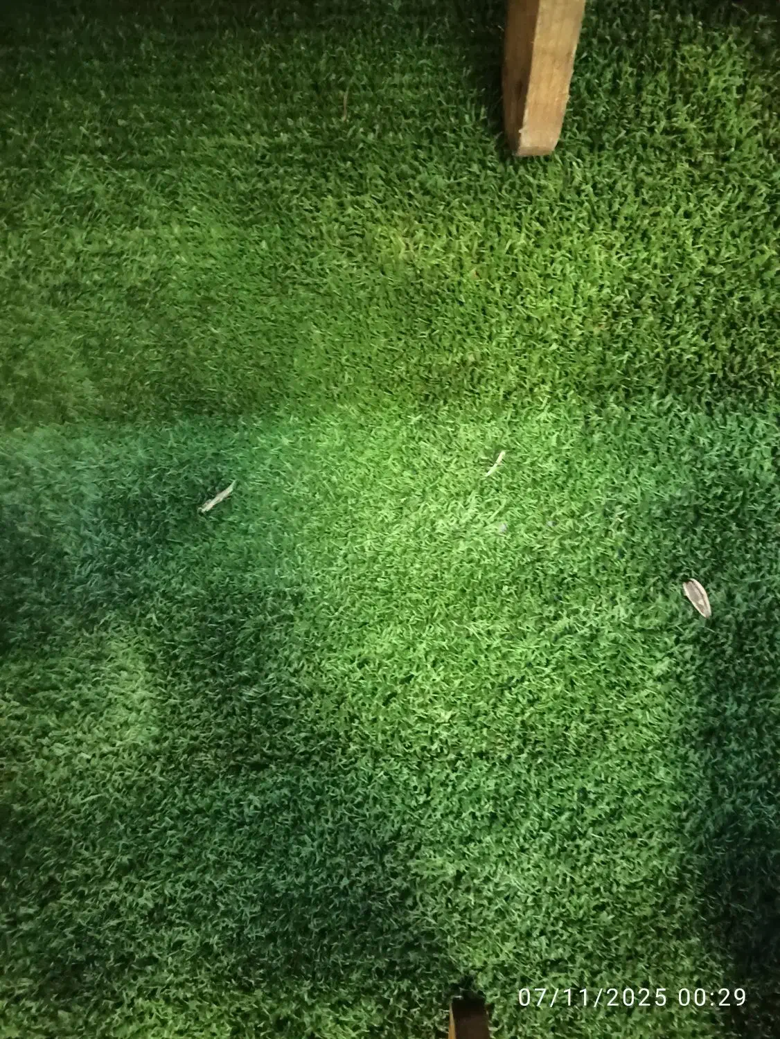 پیمانکاری مدیریت پیمان مدیریت ساخت ساختمان سازی|خدمات پیشه و مهارت|لاهیجان, فیاض|دیوار