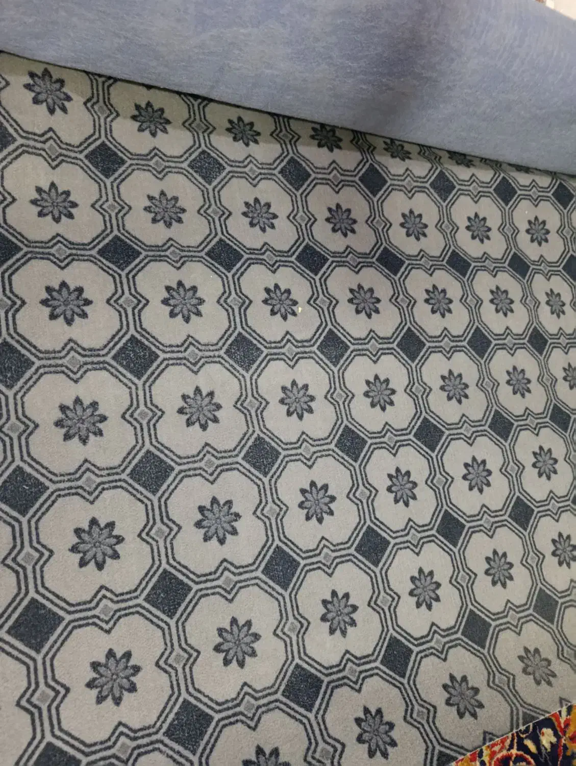 موکت نو 2500|موکت|آشخانه, |دیوار