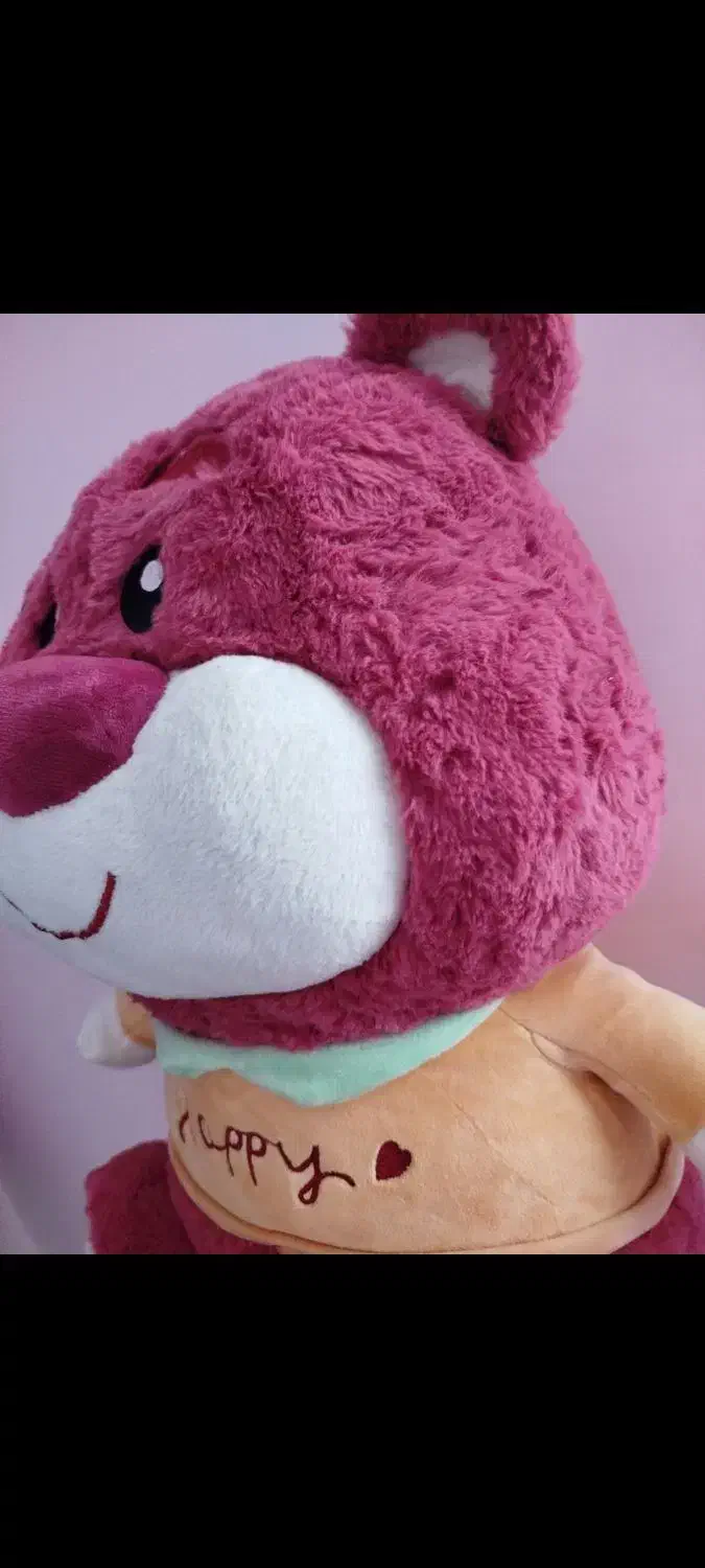 عروسک|اسباببازی|اردبیل, |دیوار