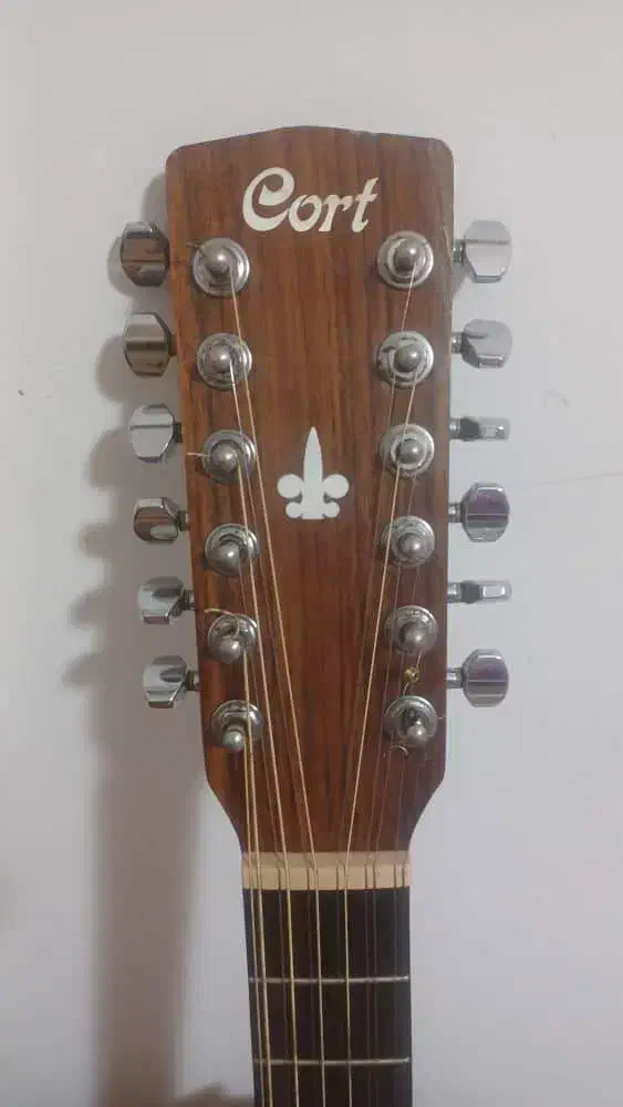 گیتار 12 سیم zinn & cort|گیتار، بیس، امپلیفایر|تهران, اکباتان|دیوار