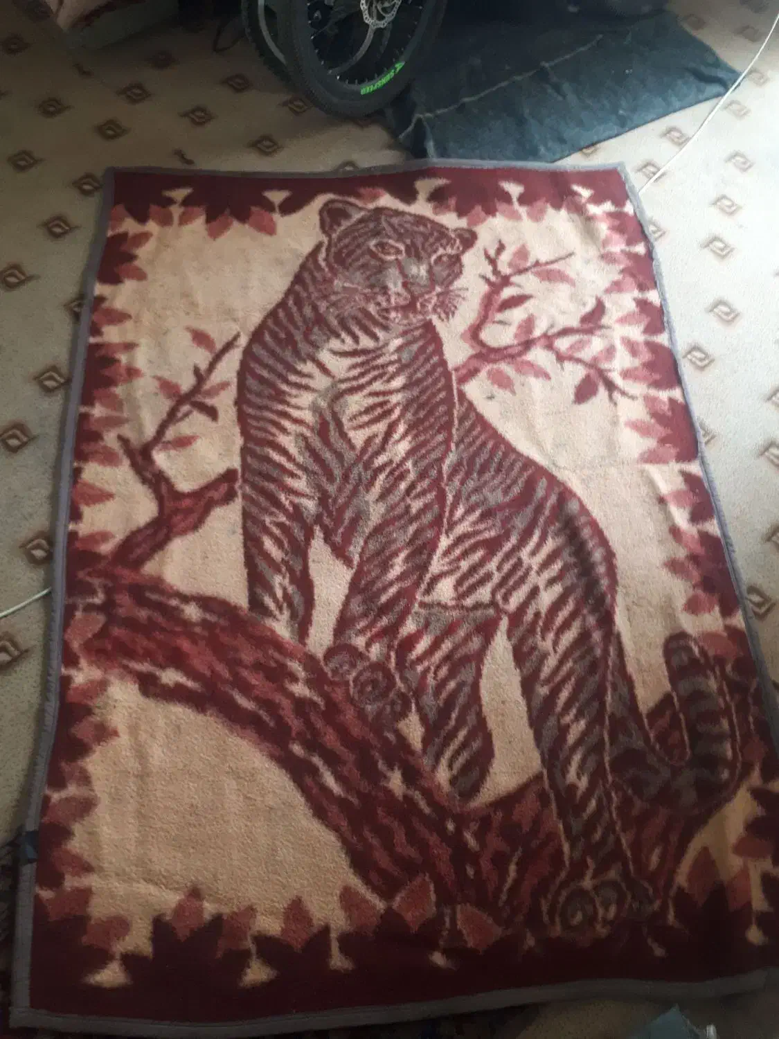 پتو پلنگی|رختخواب، بالش، پتو|گنبد کاووس, |دیوار