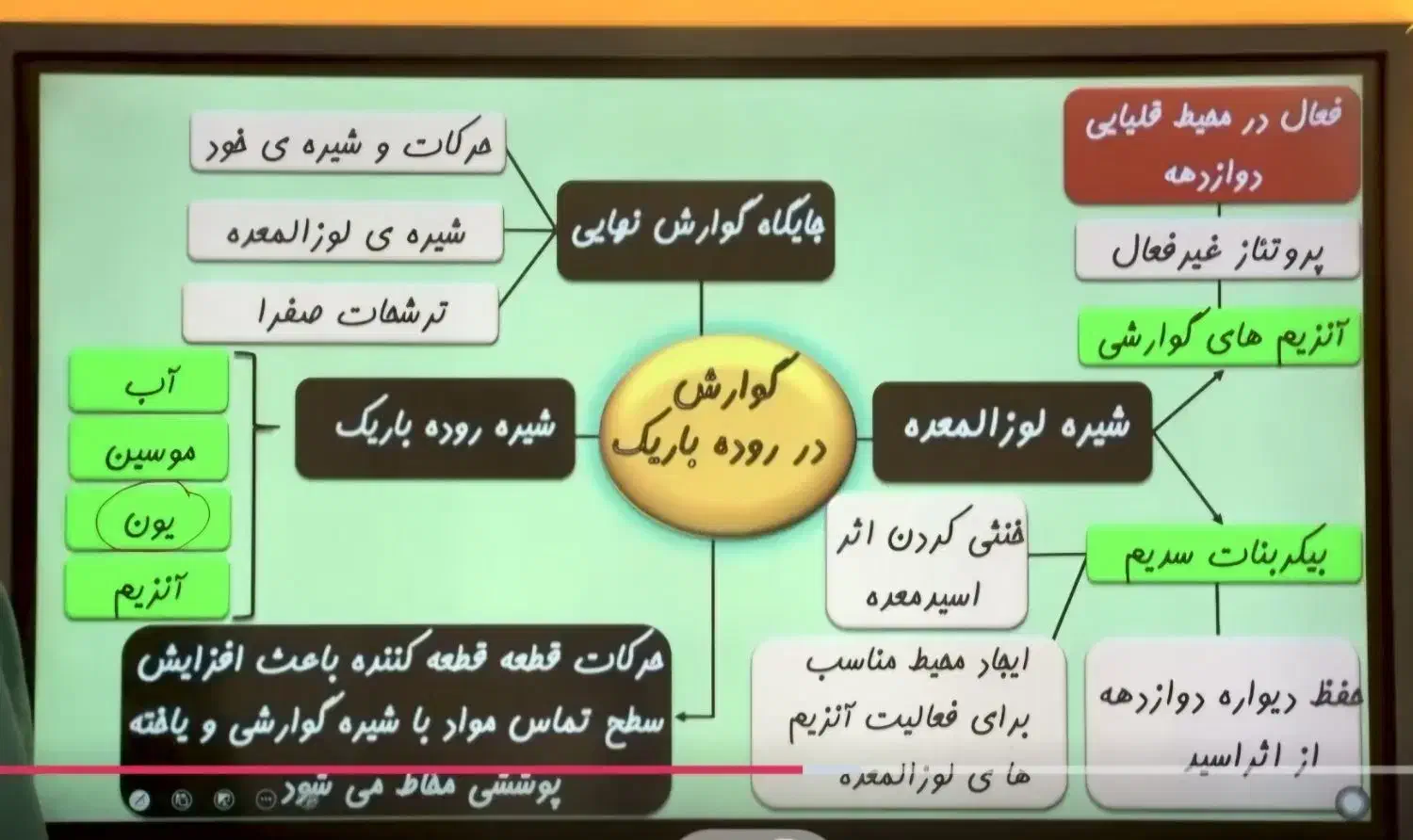 تدریس خصوصی کاملا تفهیمی زیست  دهم تجربی|خدمات آموزشی|ایلام, |دیوار