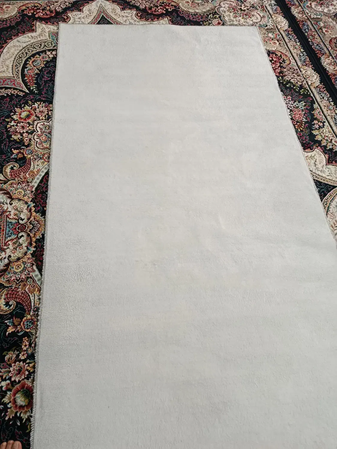 پالاز موکت|موکت|قدس, شهر‌قدس|دیوار