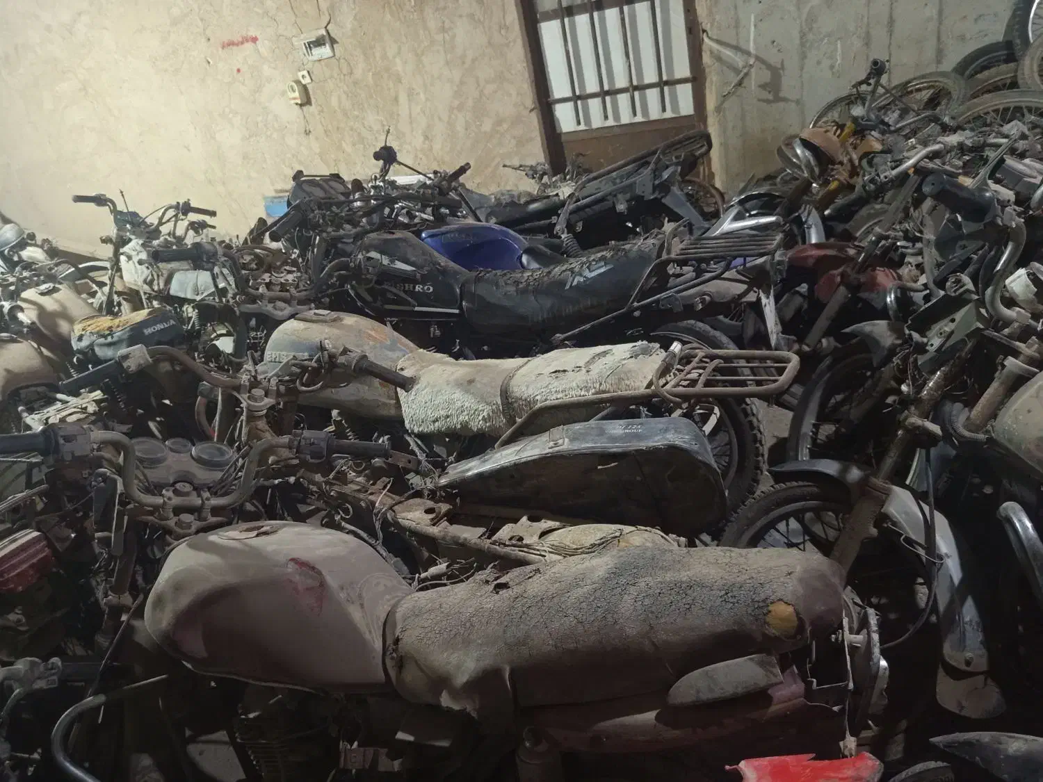 موتور مزایده .تریل پالس باکسر|موتورسیکلت|تهران, شادمان|دیوار