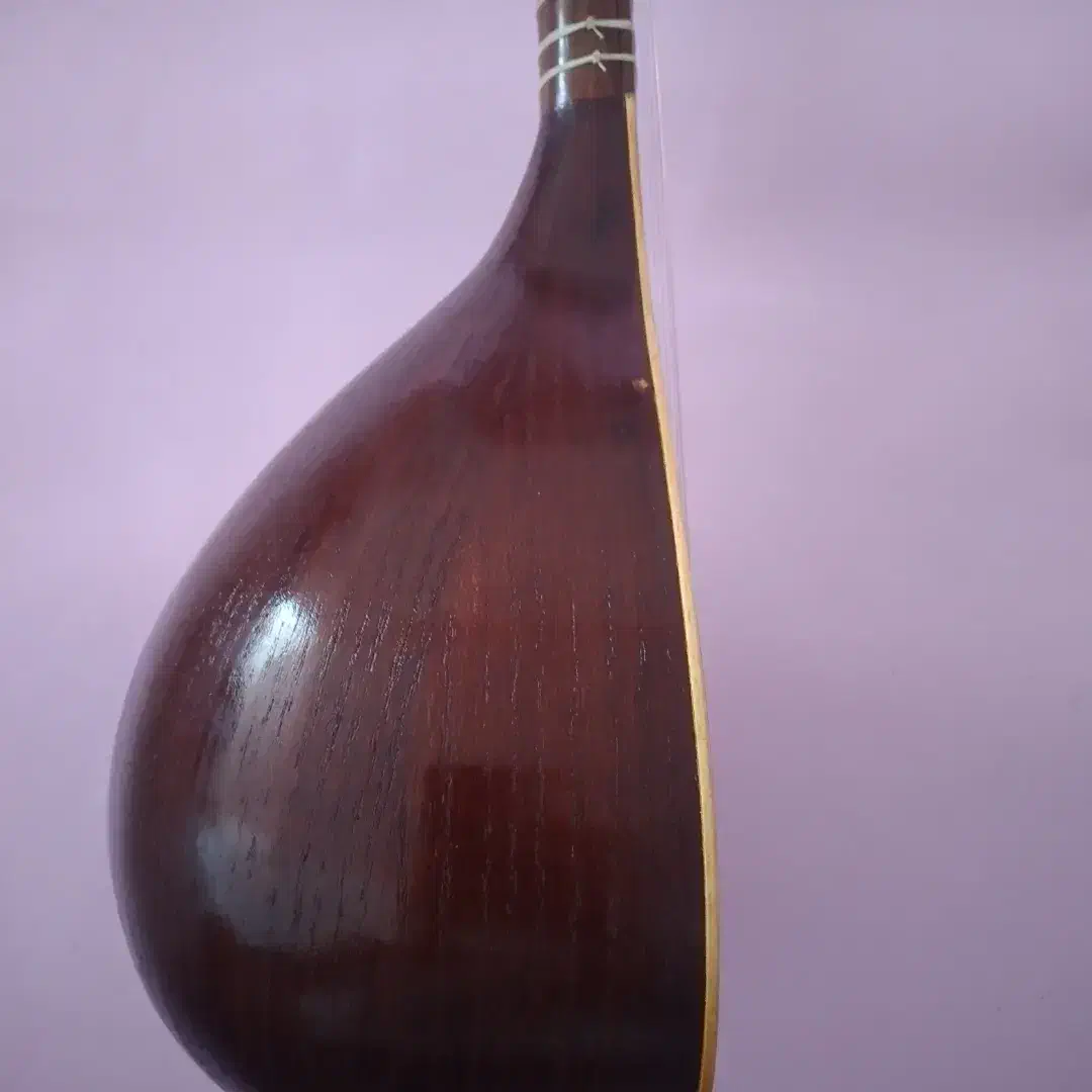 سه تار متناسب با سلیقه و قدرت خرید شما|سازهای سنتی|سنندج, |دیوار