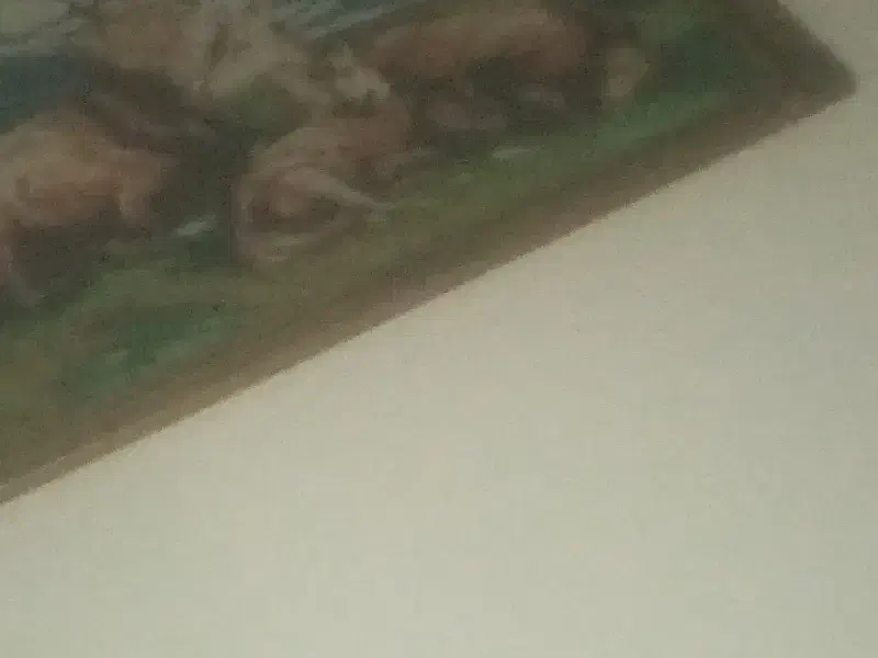 منزل رایگان و نیازمند به همخانه|اجارهٔ آپارتمان|ری, شهادت|دیوار