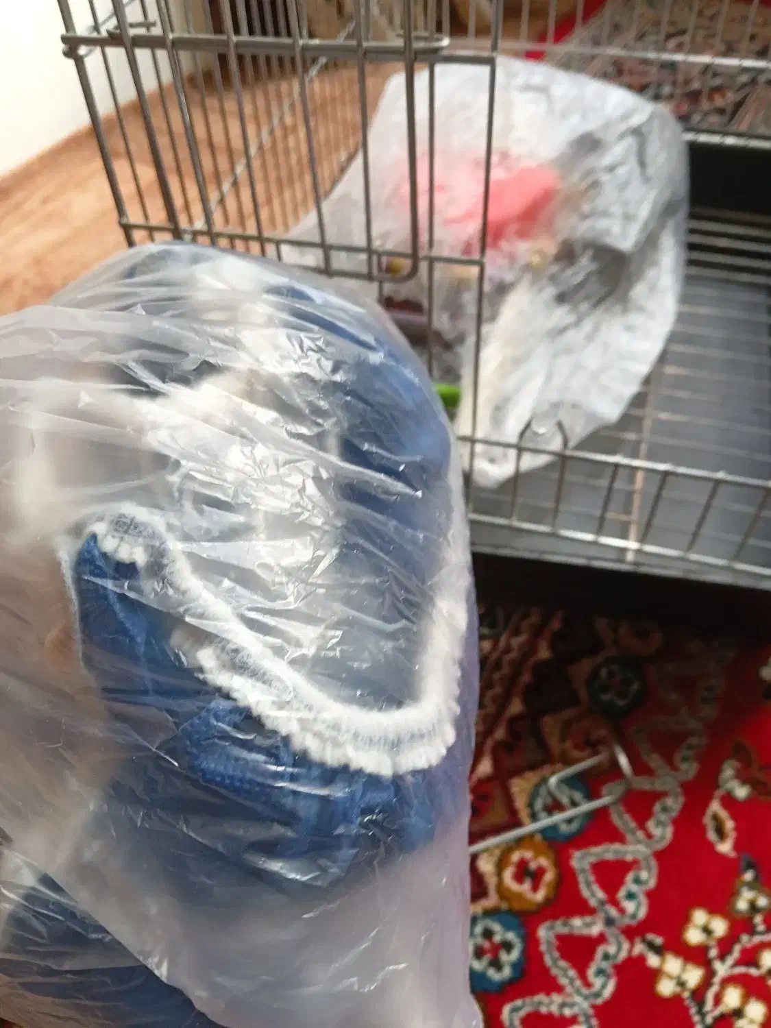 قفس پرنده|لوازم جانبی حیوانات|محمدیه-قزوین, |دیوار