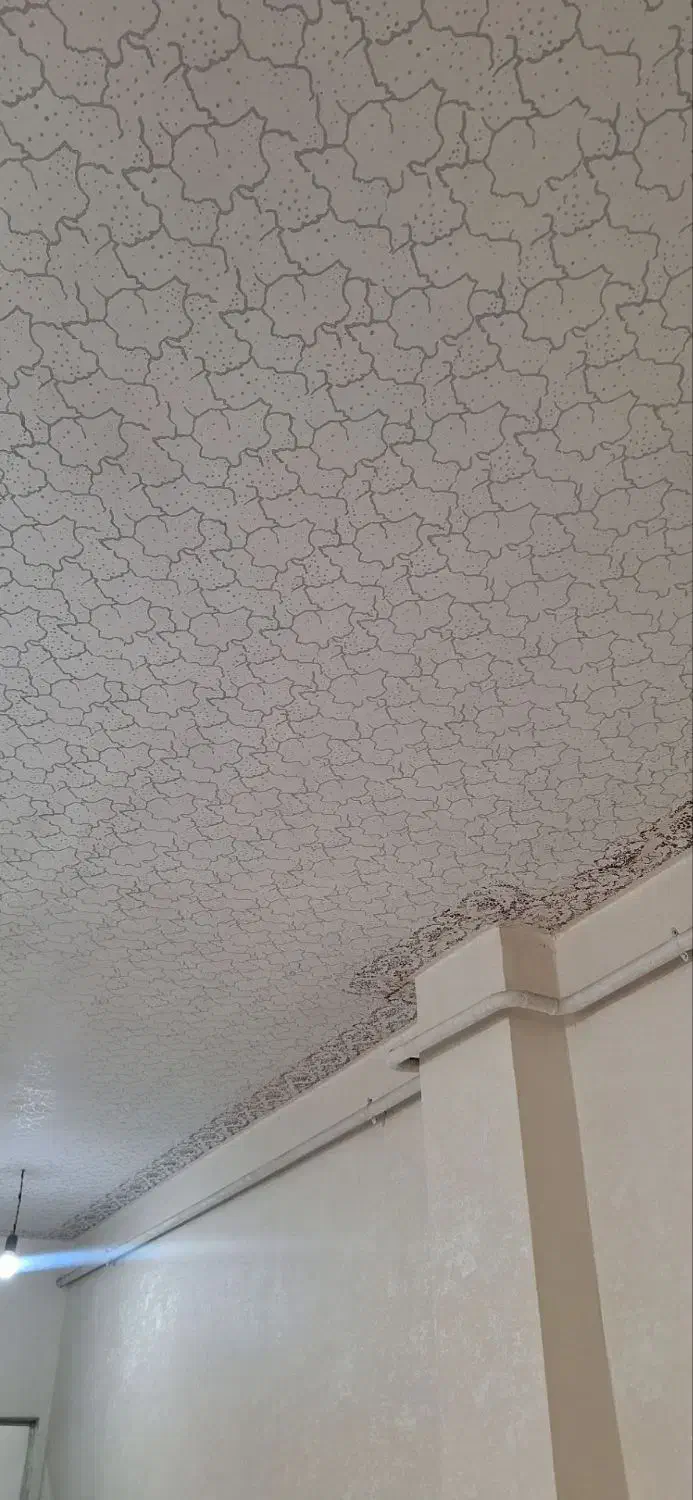 نقاشی ساختمان طرح کاغذدیواری|خدمات پیشه و مهارت|لنگرود, |دیوار